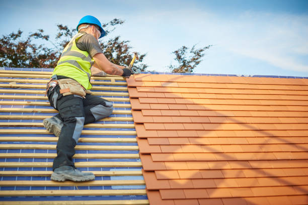 Steel Roofing in Marissa, IL